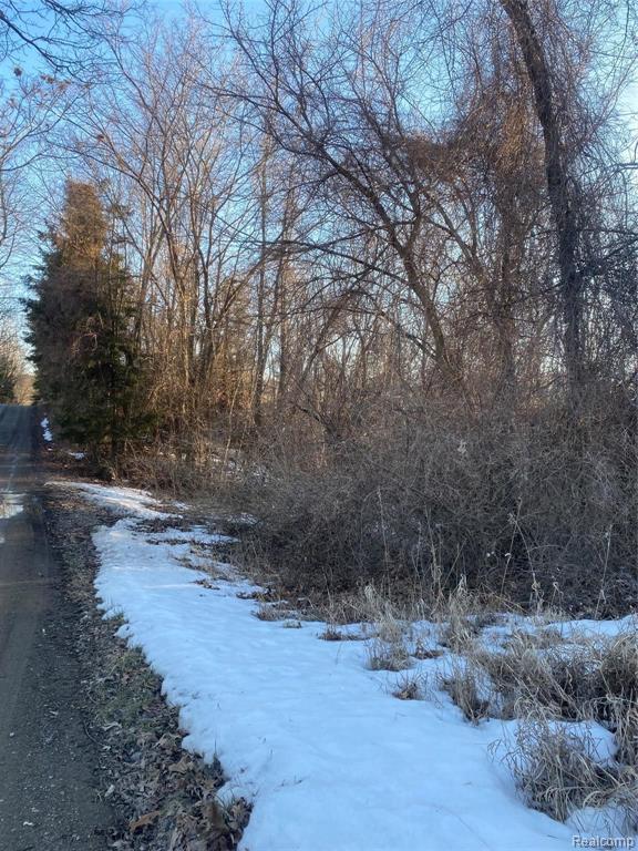 5000 Pawson Road Tipton, MI 49287 - Photo 10 of 19