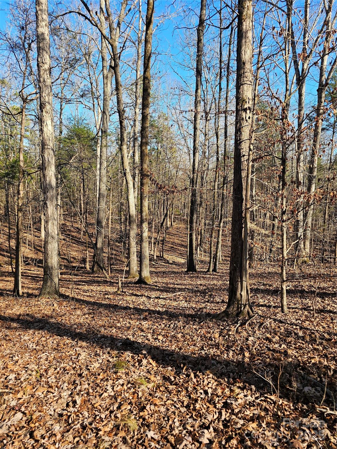 7000 John Furr Road Concord, NC 28025 - Photo 12 of 25 a view of a backyard of the house