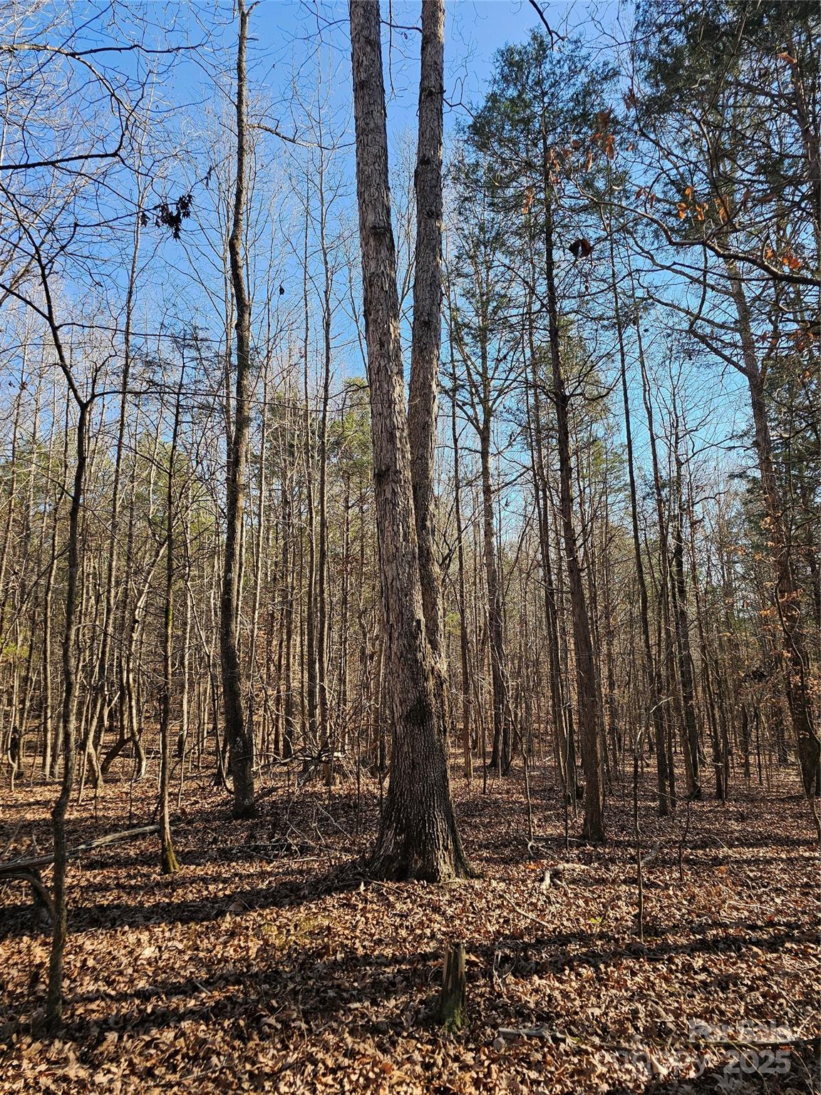 7000 John Furr Road Concord, NC 28025 - Photo 14 of 25 a view of a backyard of the house
