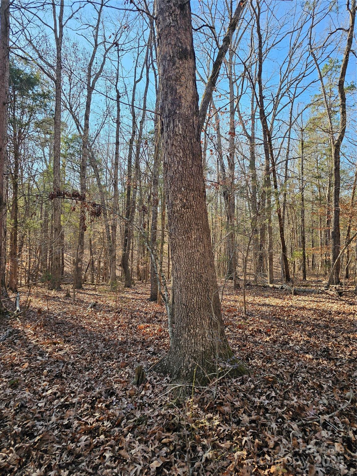 7000 John Furr Road Concord, NC 28025 - Photo 15 of 25 a big yard with lots of green space