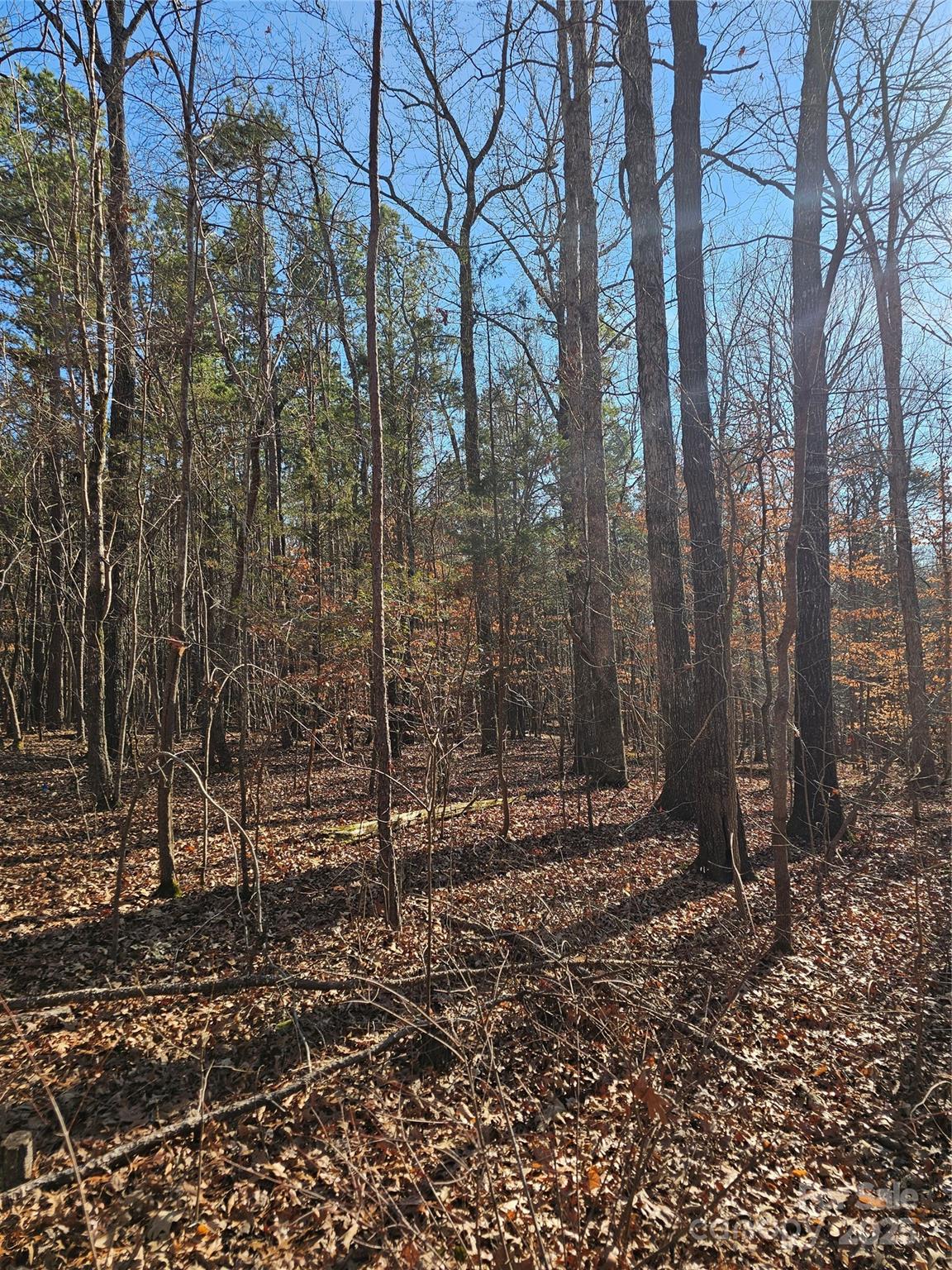 7000 John Furr Road Concord, NC 28025 - Photo 16 of 25 a backyard of a house with lots of green space
