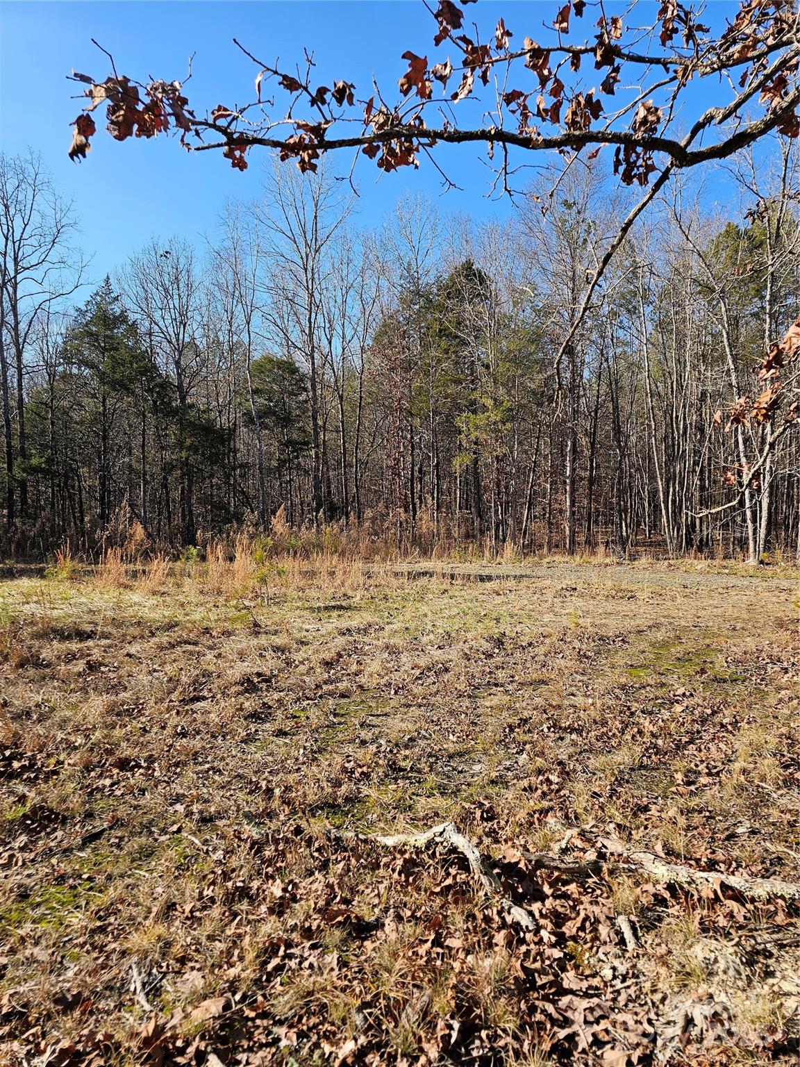7000 John Furr Road Concord, NC 28025 - Photo 18 of 25 a view of water covered with snow