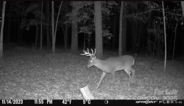 7000 John Furr Road Concord, NC 28025 - Photo 21 of 25 a view of a chairs and table in backyard