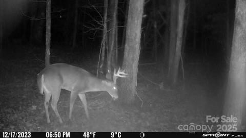 7000 John Furr Road Concord, NC 28025 - Photo 22 of 25