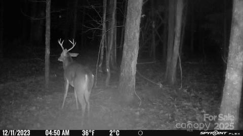7000 John Furr Road Concord, NC 28025 - Photo 23 of 25 a close view of water heater
