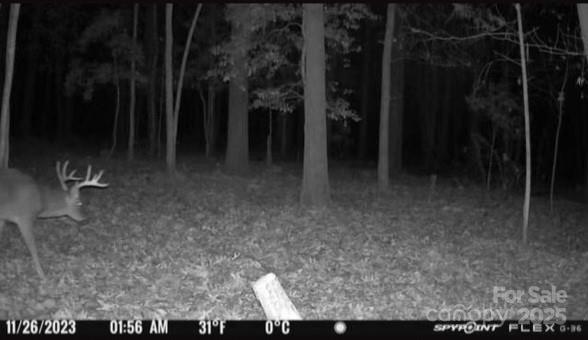 7000 John Furr Road Concord, NC 28025 - Photo 24 of 25 a view of outdoor space and yard