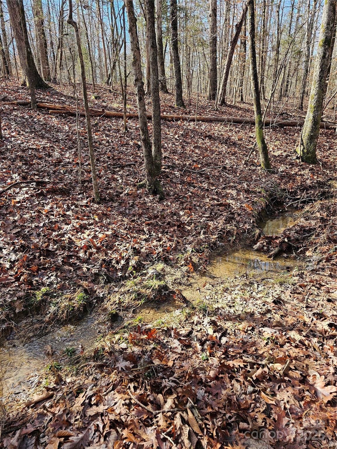 7000 John Furr Road Concord, NC 28025 - Photo 4 of 25 a view of a backyard of the house