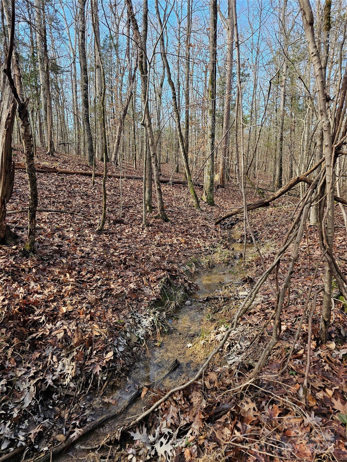 7000 John Furr Road Concord, NC 28025 - Photo 5 of 25 a backyard of a house with lots of green space