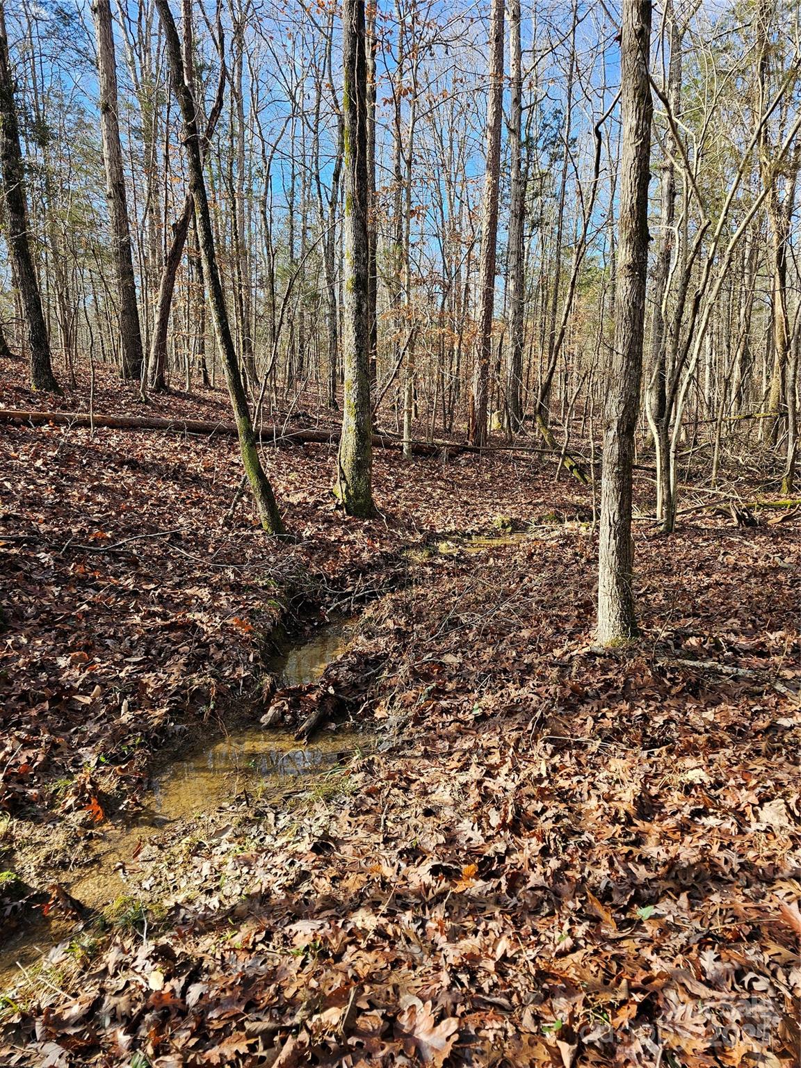 7000 John Furr Road Concord, NC 28025 - Photo 6 of 25 a view of a backyard of the house