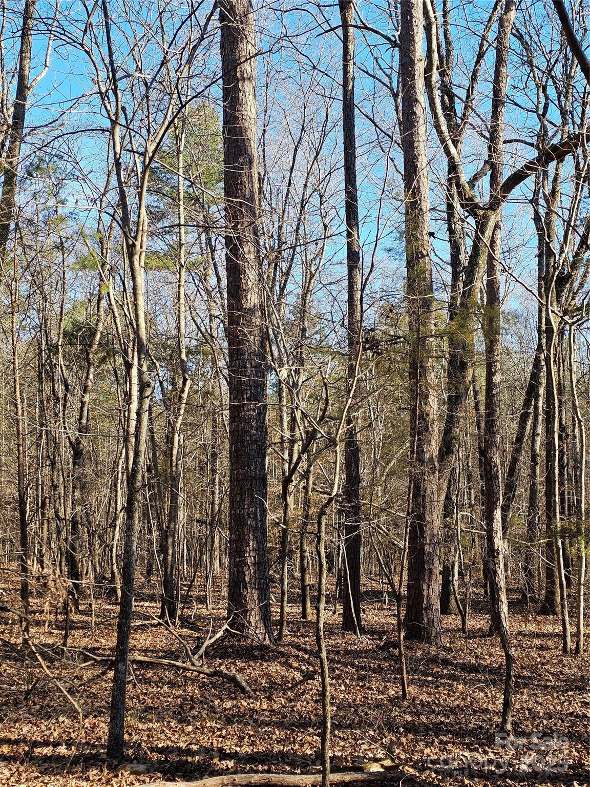 7000 John Furr Road Concord, NC 28025 - Photo 7 of 25 a view of a yard