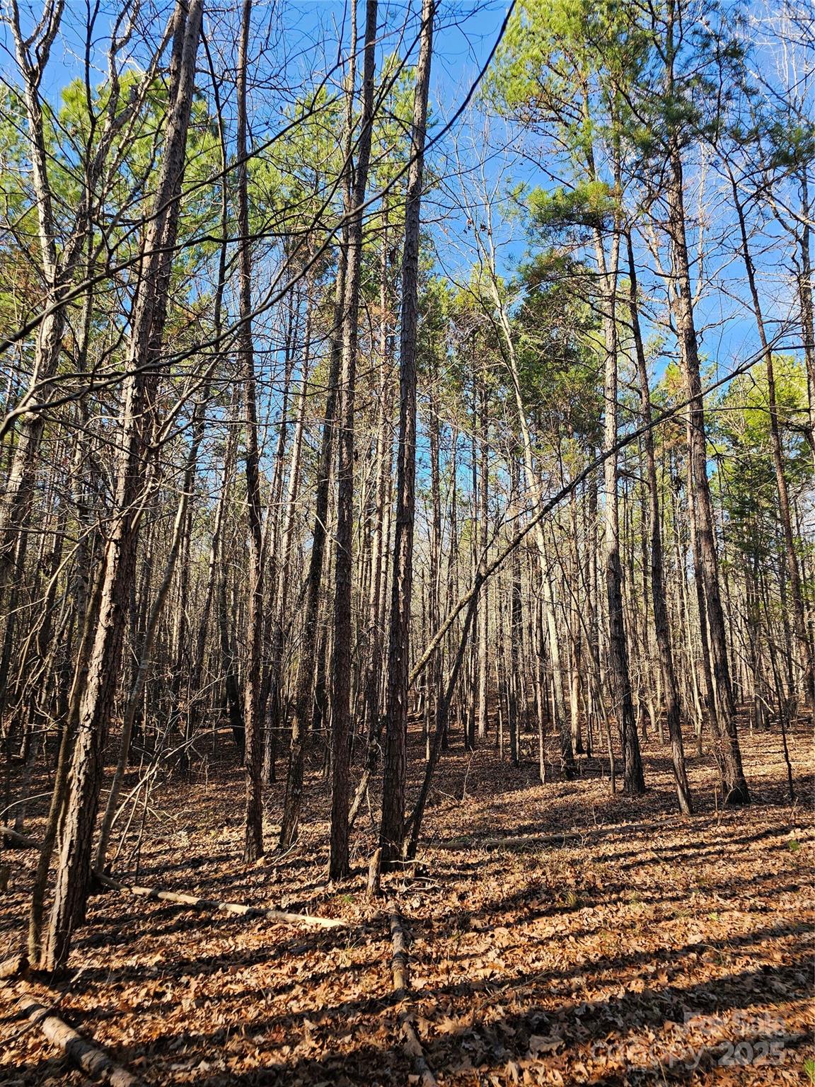 7000 John Furr Road Concord, NC 28025 - Photo 10 of 25 a view of a yard with street