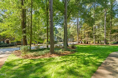 a view of a tree in a garden