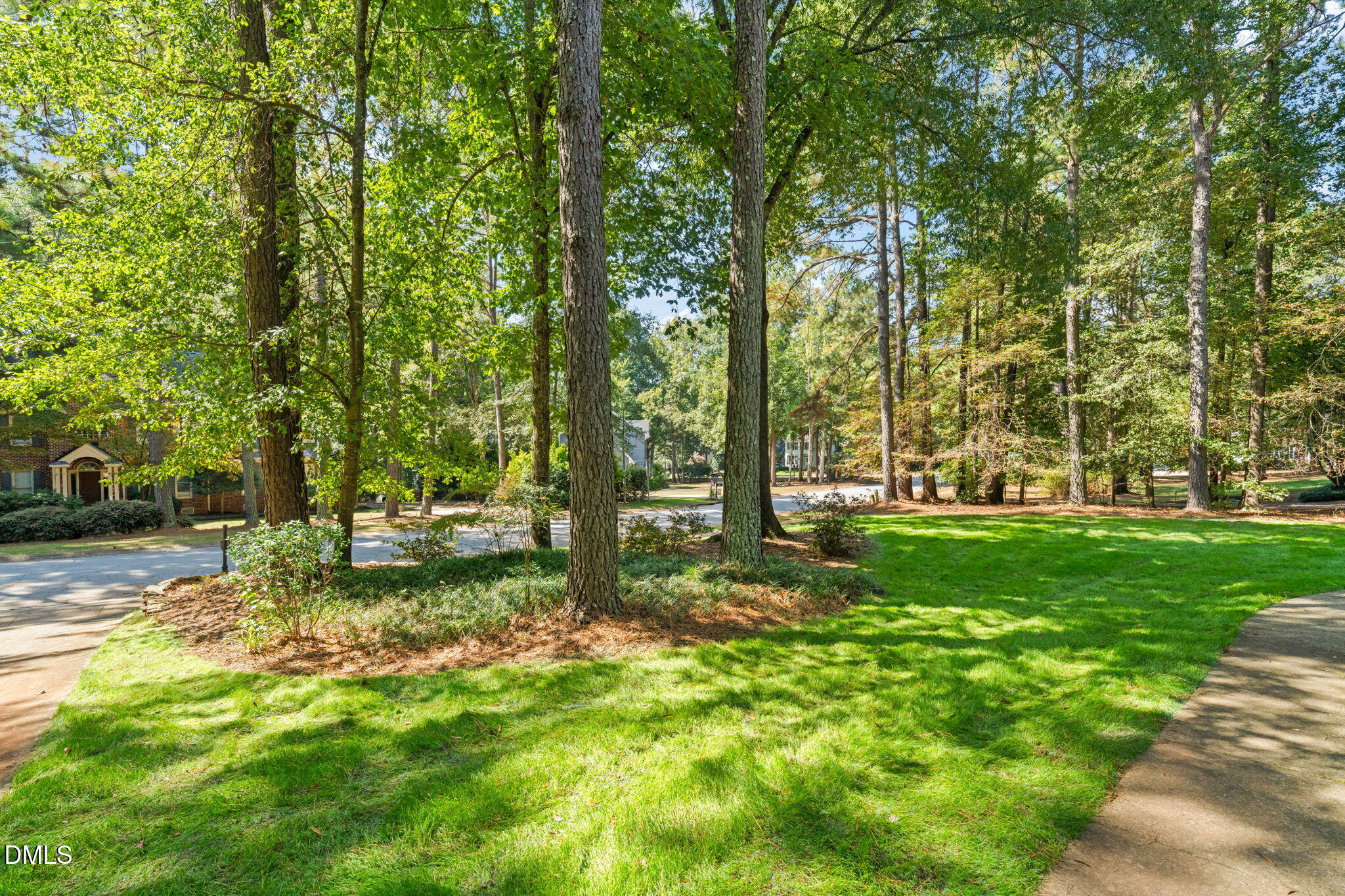 5309 Shoreline Court Holly Springs, NC 27540 - Photo 44 of 46 a view of a tree in a garden