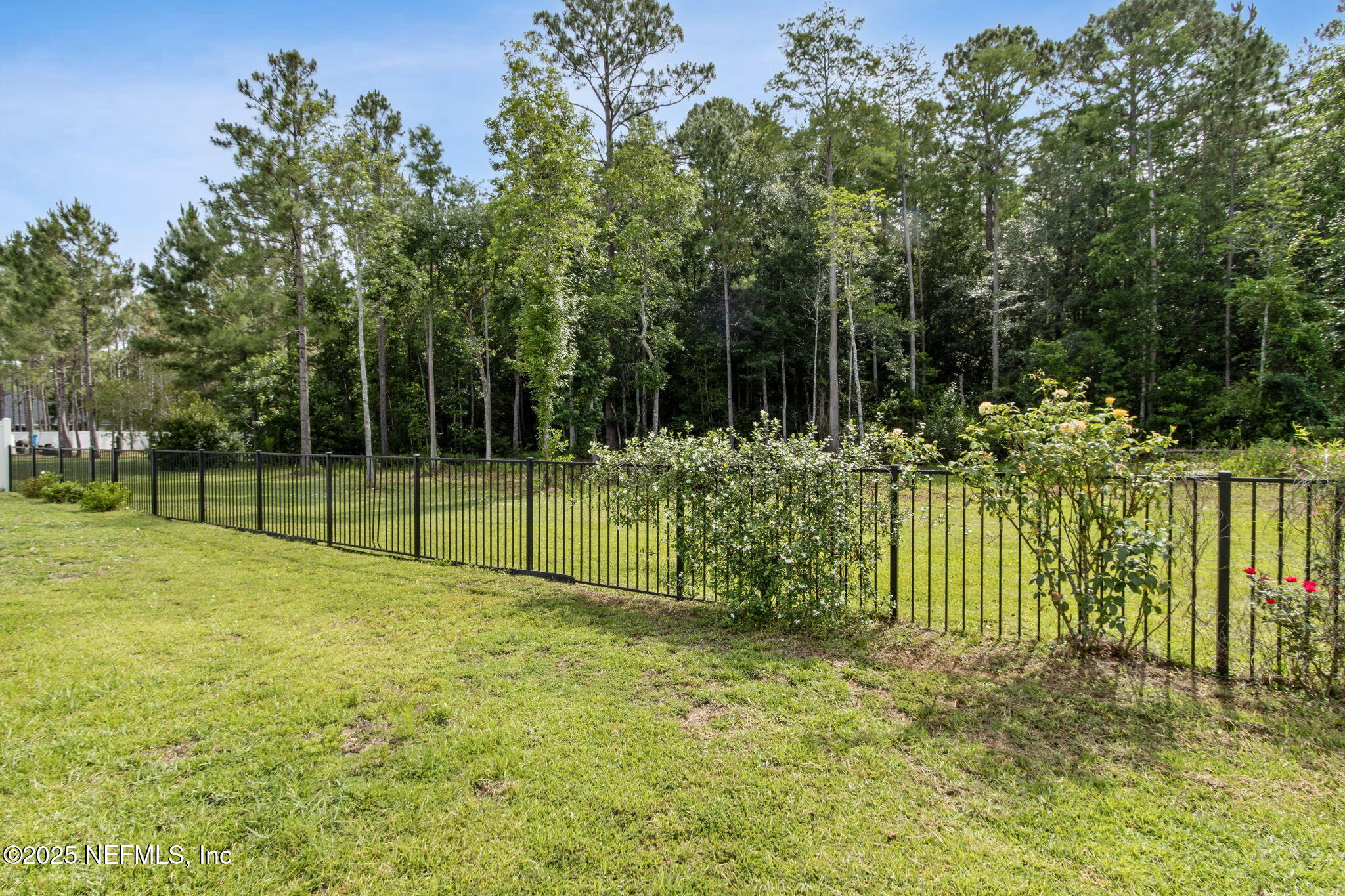 75652 Edwards Road Yulee, FL 32097 - Photo 23 of 26 a view of a park with large trees