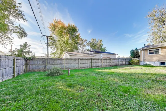 a view of a backyard that has plants and large trees