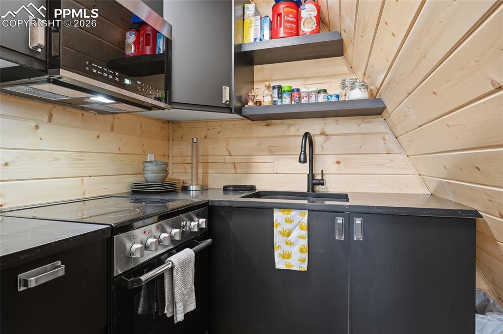 169 Evergreen Road Woodland Park, CO 80863 - Photo 11 of 35