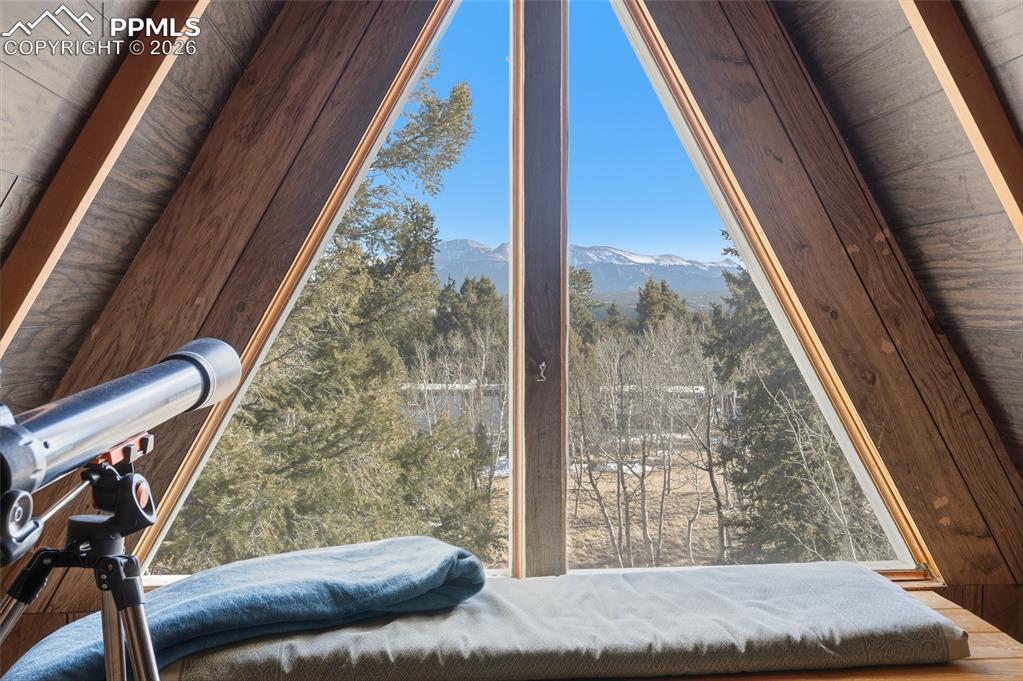 169 Evergreen Road Woodland Park, CO 80863 - Photo 22 of 35