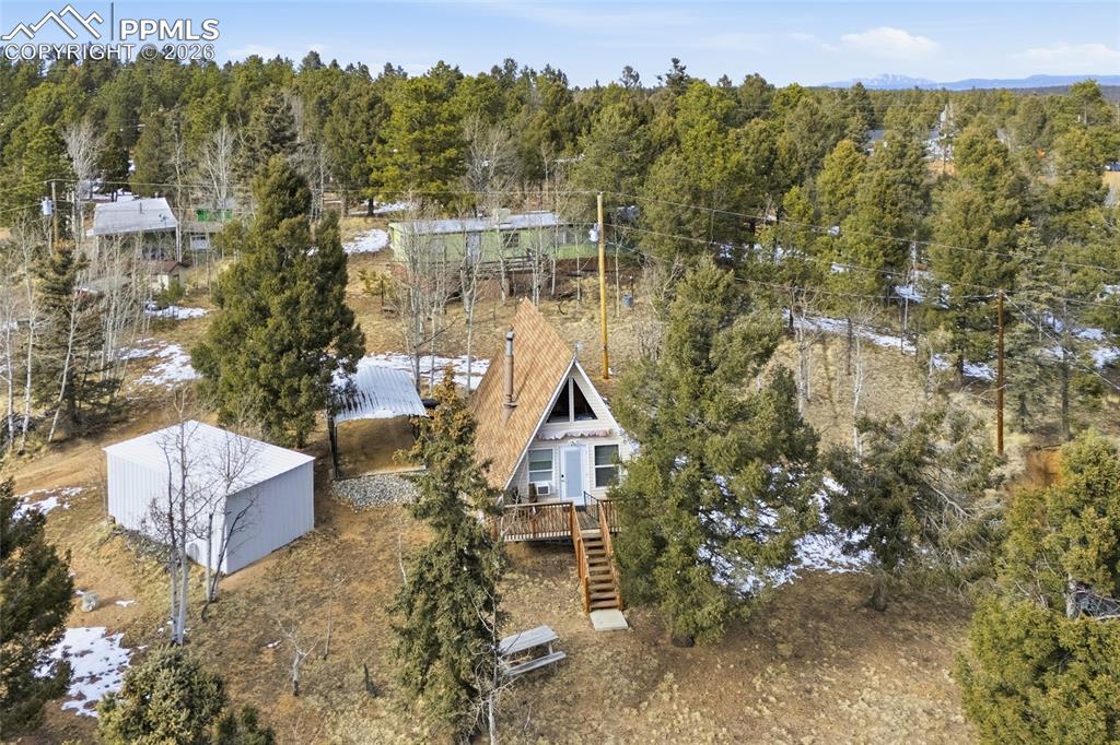 169 Evergreen Road Woodland Park, CO 80863 - Photo 31 of 35