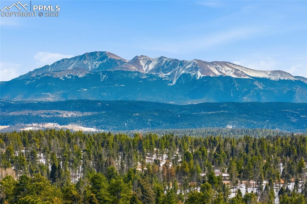 169 Evergreen Road Woodland Park, CO 80863 - Photo 34 of 35