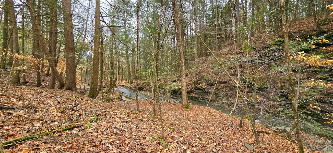 175 Beckwith Road Southport, NY 14871 - Photo 42 of 50