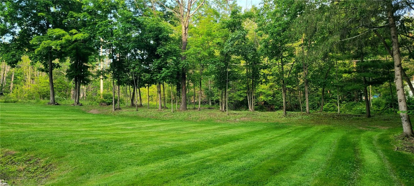 175 Beckwith Road Southport, NY 14871 - Photo 44 of 50