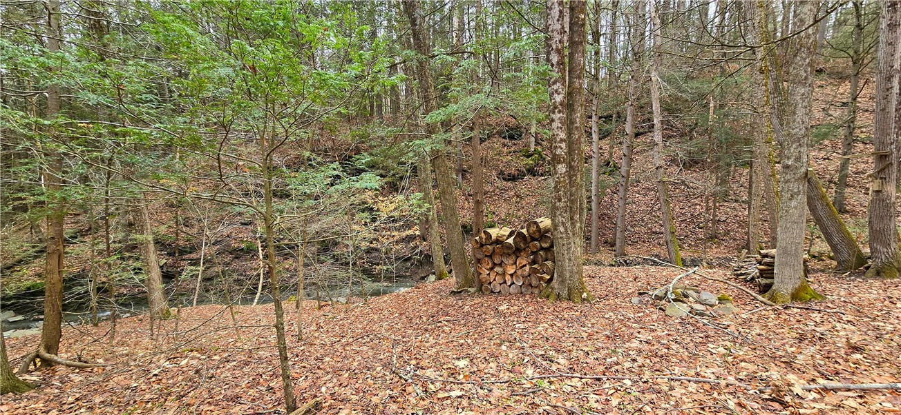 175 Beckwith Road Southport, NY 14871 - Photo 48 of 50