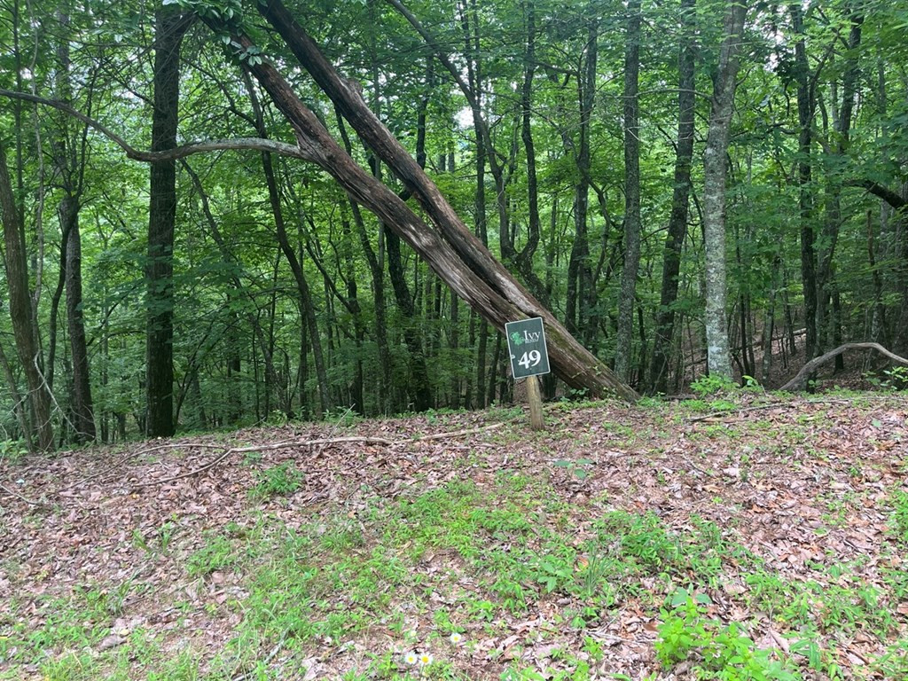 Lot 49 Burger Road Murphy, NC 28906 - Photo 2 of 7