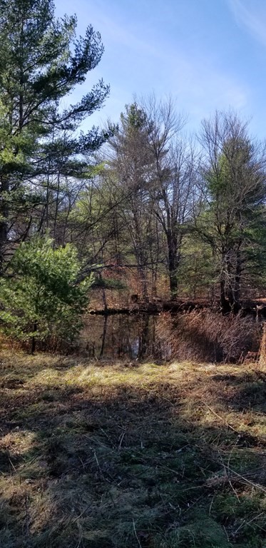 63 Pitcherville Road Hubbardston, MA 01452 - Photo 25 of 26 Gallery Image 25