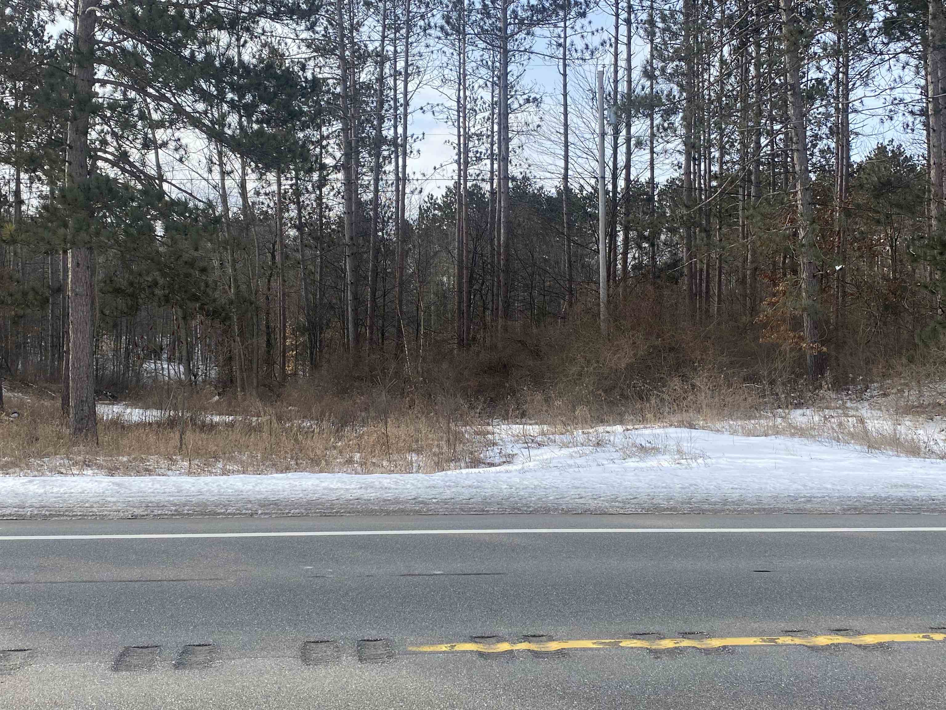 Tbd West Tbd W Remus Road Remus, MI 49340 - Photo 1 of 11 1897555.JPG