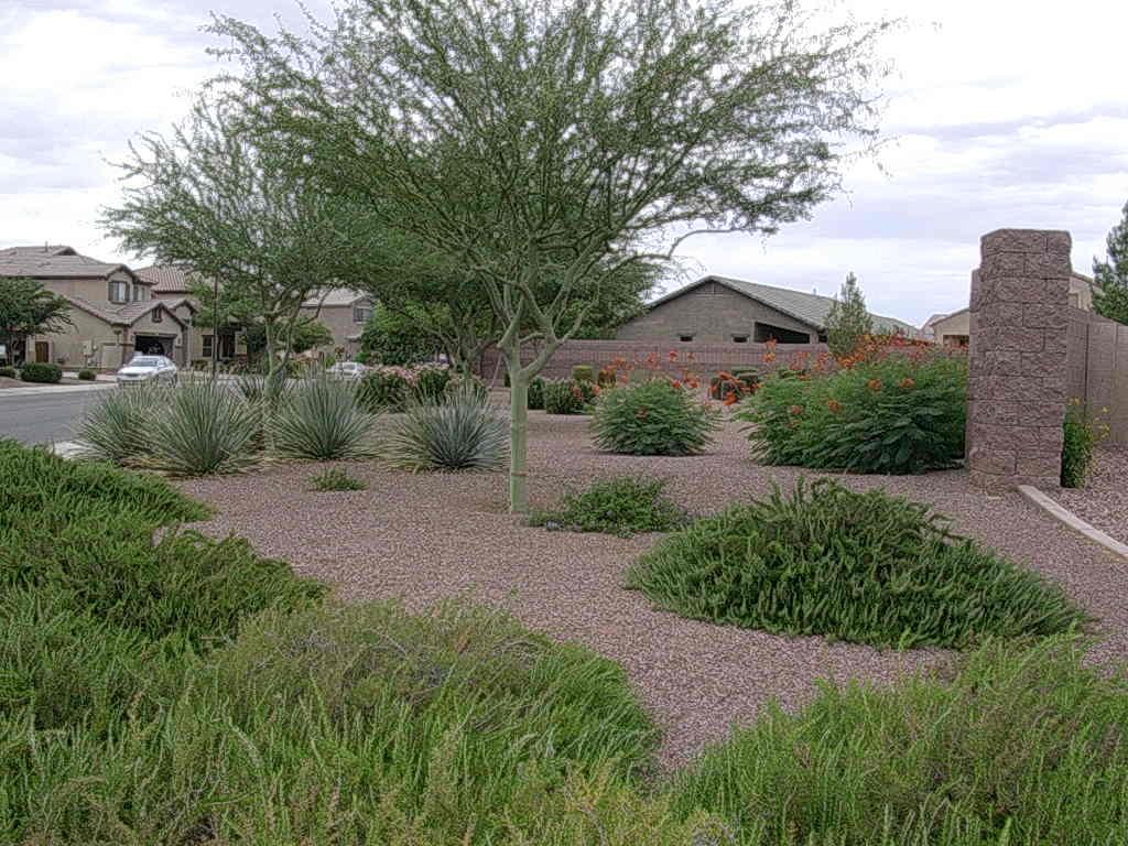 1398 East Bautista Road Gilbert, AZ 85297 - Photo 7 of 9 GREENBELT NEXT TO HOME