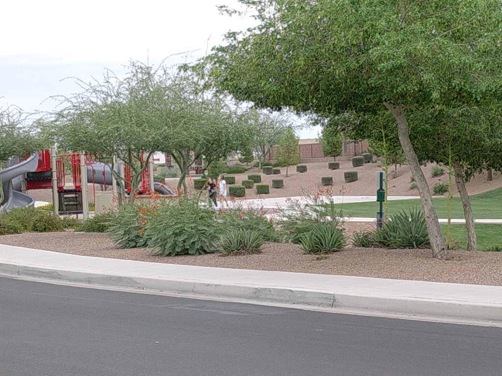 1398 East Bautista Road Gilbert, AZ 85297 - Photo 8 of 9 PARK AREA ACROSS FROM HOME
