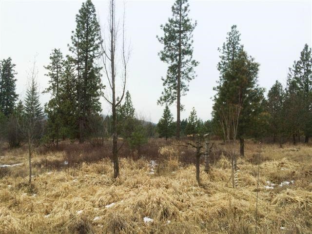 4123 South Conklin Road Greenacres, WA 99016 - Photo 20 of 20 Gallery Image 20