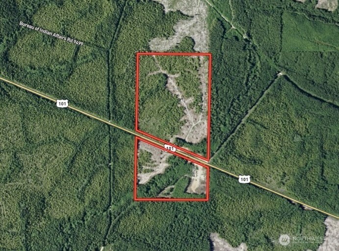 7507 Highway 101 Amanda Park, WA 98526 - Photo 29 of 30