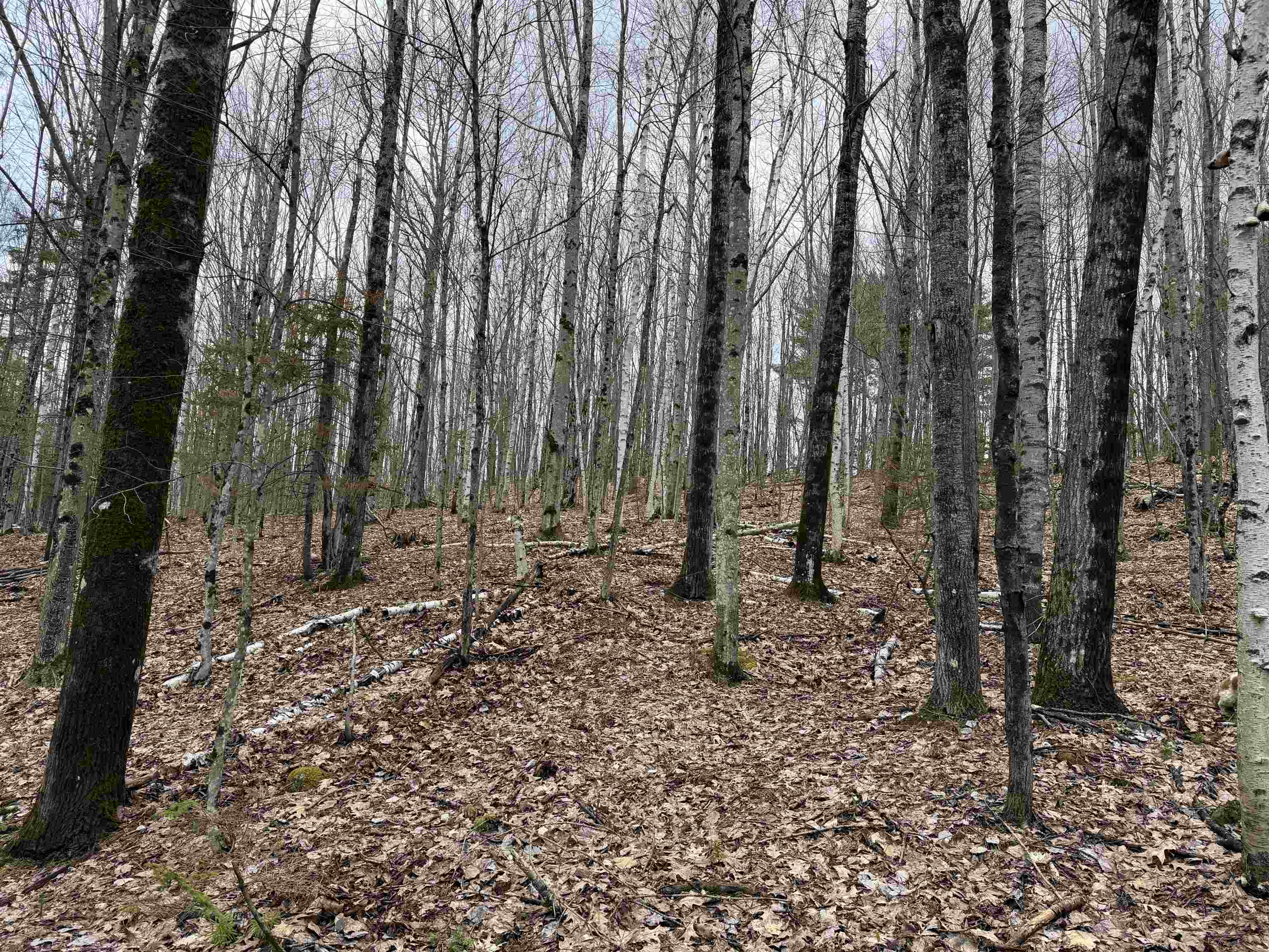 38 F Lang Road Bath, NH 03740 - Photo 15 of 20