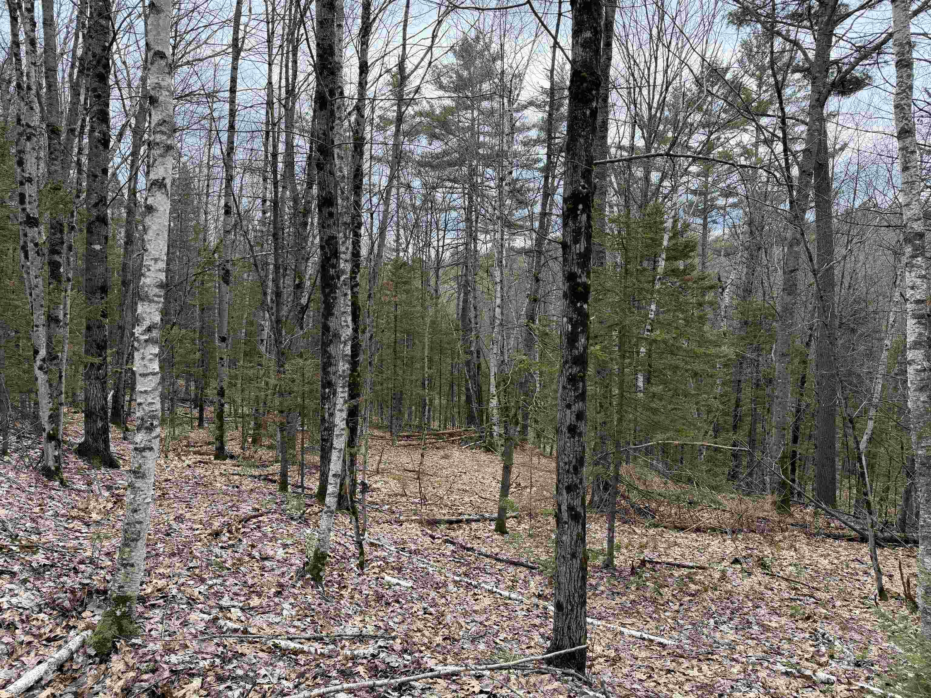 38 F Lang Road Bath, NH 03740 - Photo 17 of 20