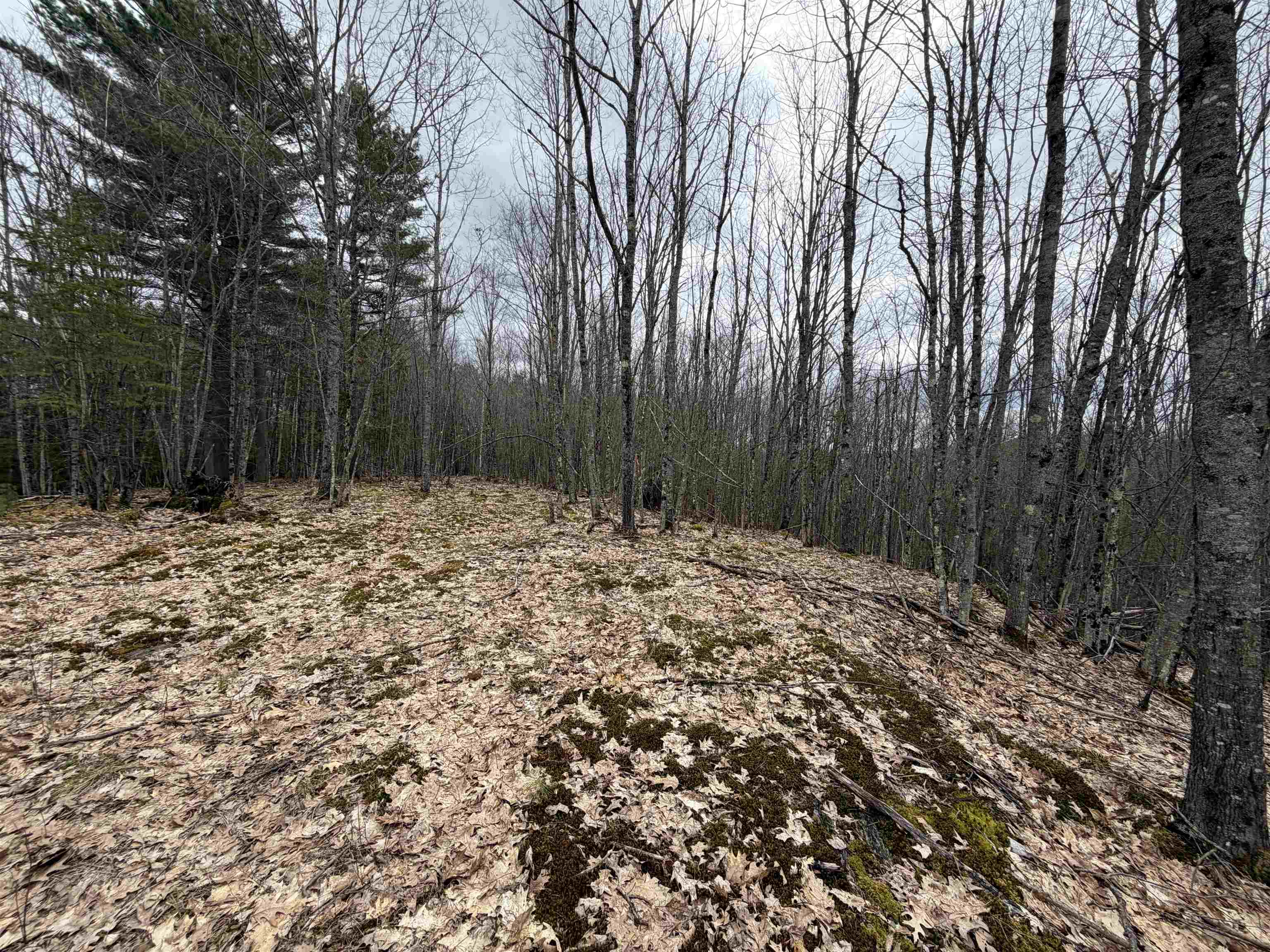 38 F Lang Road Bath, NH 03740 - Photo 18 of 20