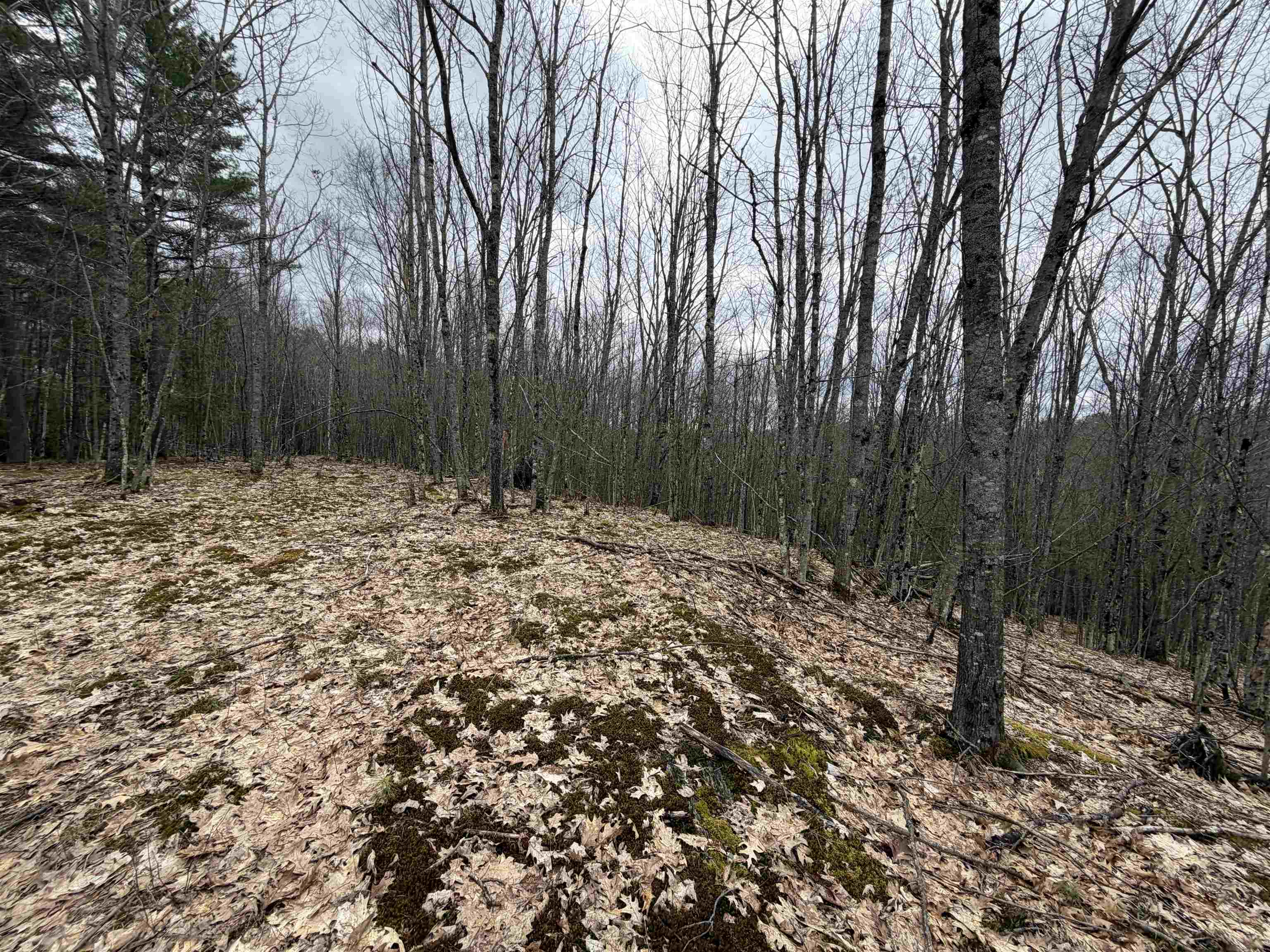38 F Lang Road Bath, NH 03740 - Photo 20 of 20