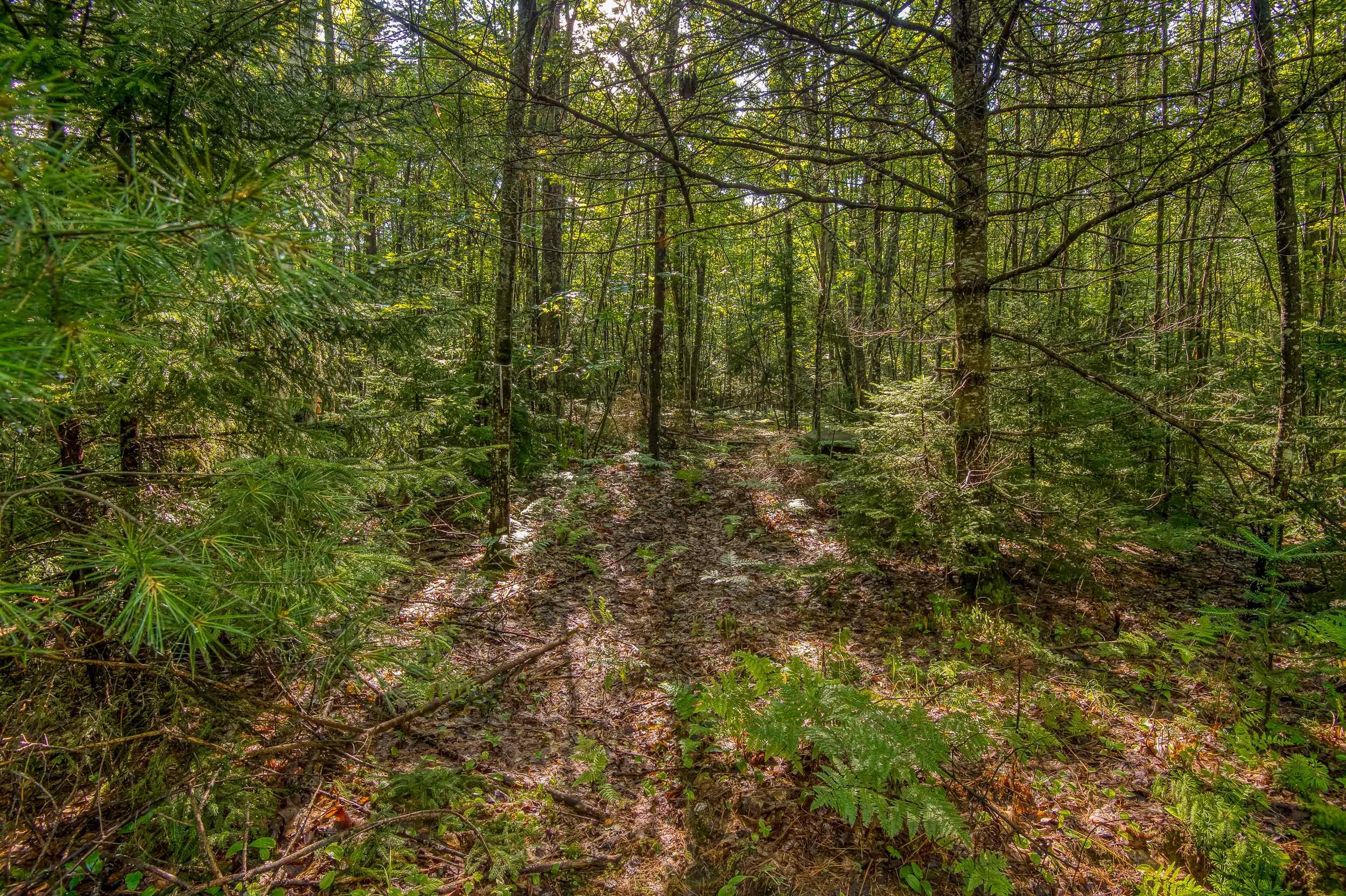 38 F Lang Road Bath, NH 03740 - Photo 7 of 20