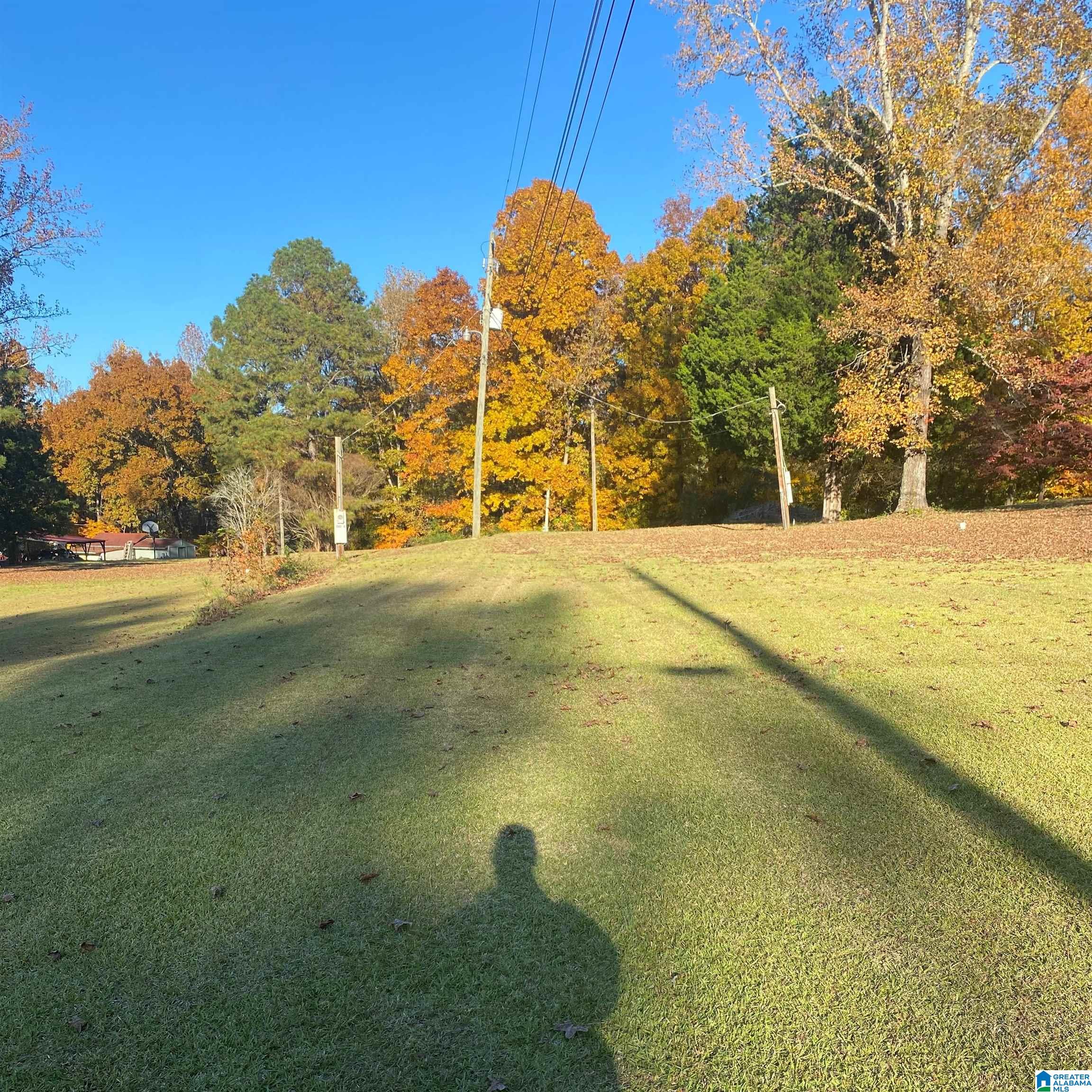 0 Oscar Bradford Road Hayden, AL 35079 - Photo 3 of 6