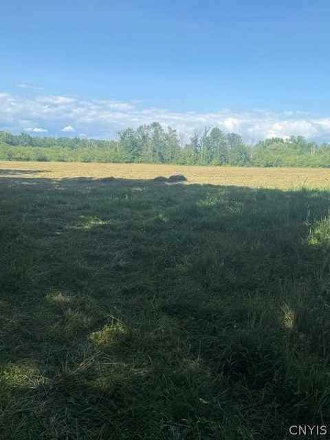 Townline Road Rome, NY 13440 - Photo 6 of 14
