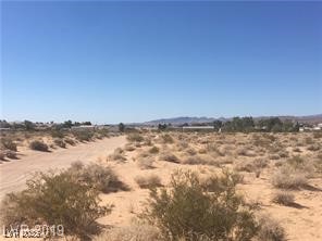 Skyline Logandale, NV 89021 - Photo 10 of 10