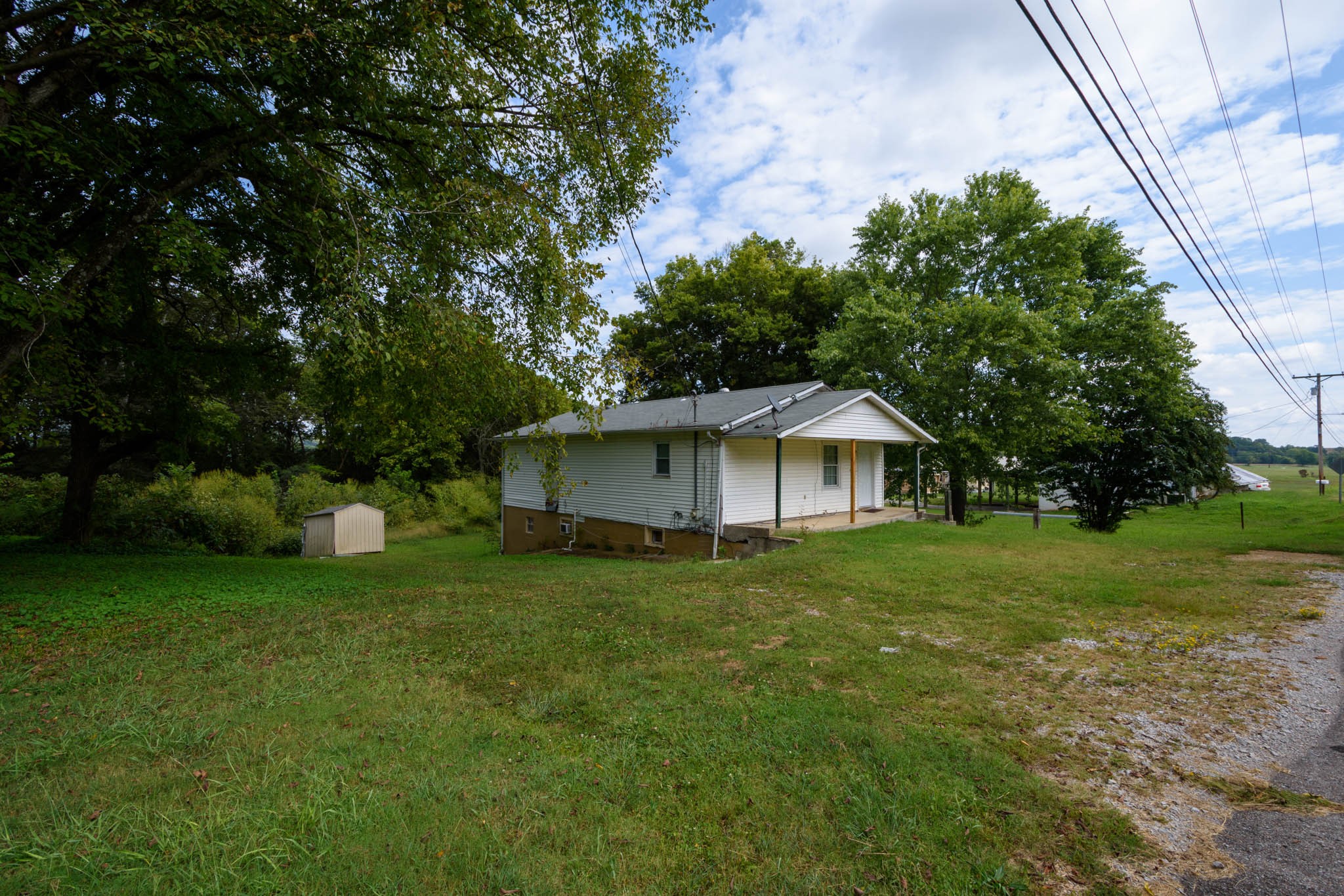 500 Bodenham Road Pulaski, TN 38478 - Photo 2 of 70 a view of a tree in front of a house with a big yard