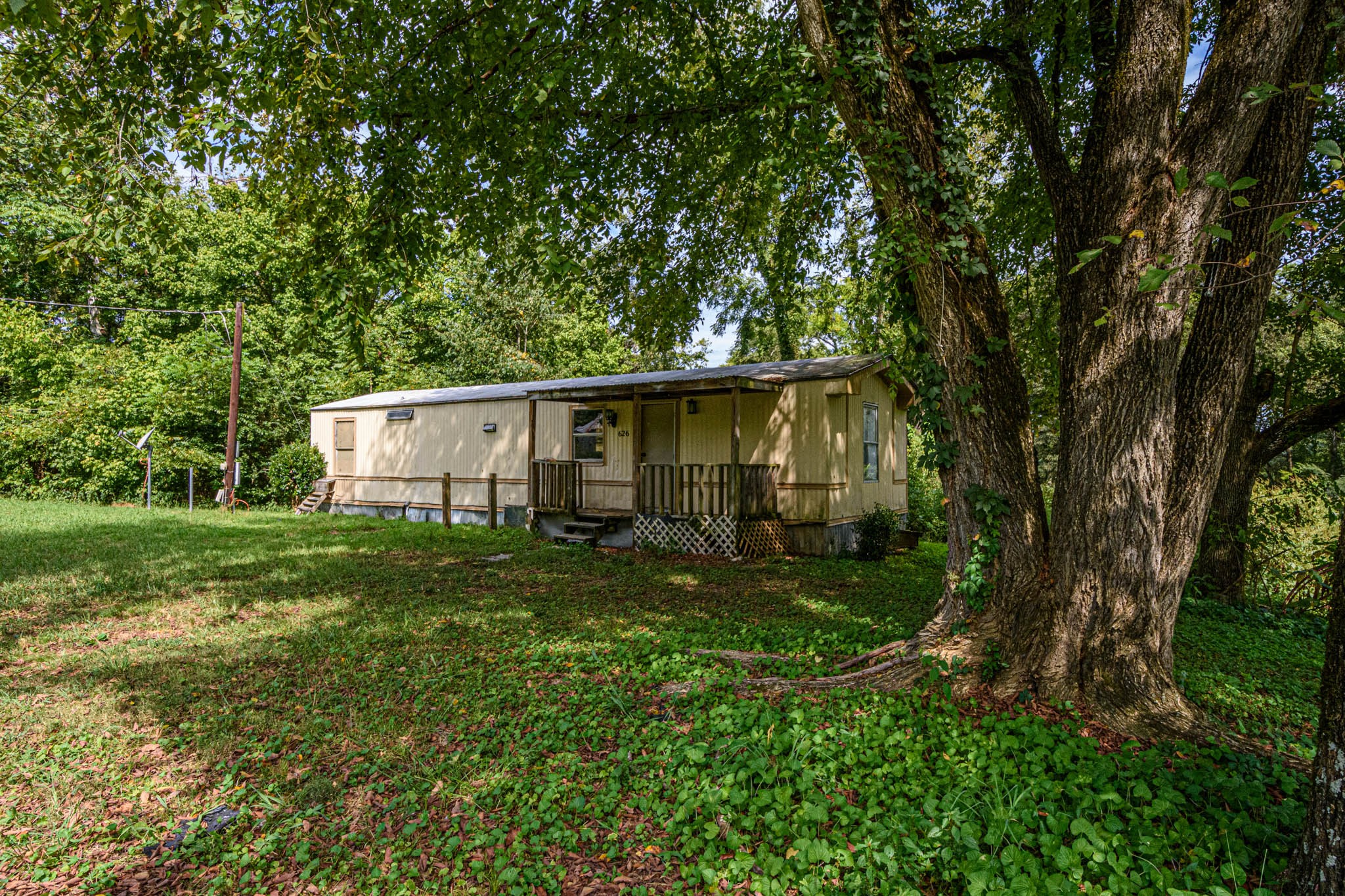 500 Bodenham Road Pulaski, TN 38478 - Photo 28 of 70 a view of a backyard with plants and large trees