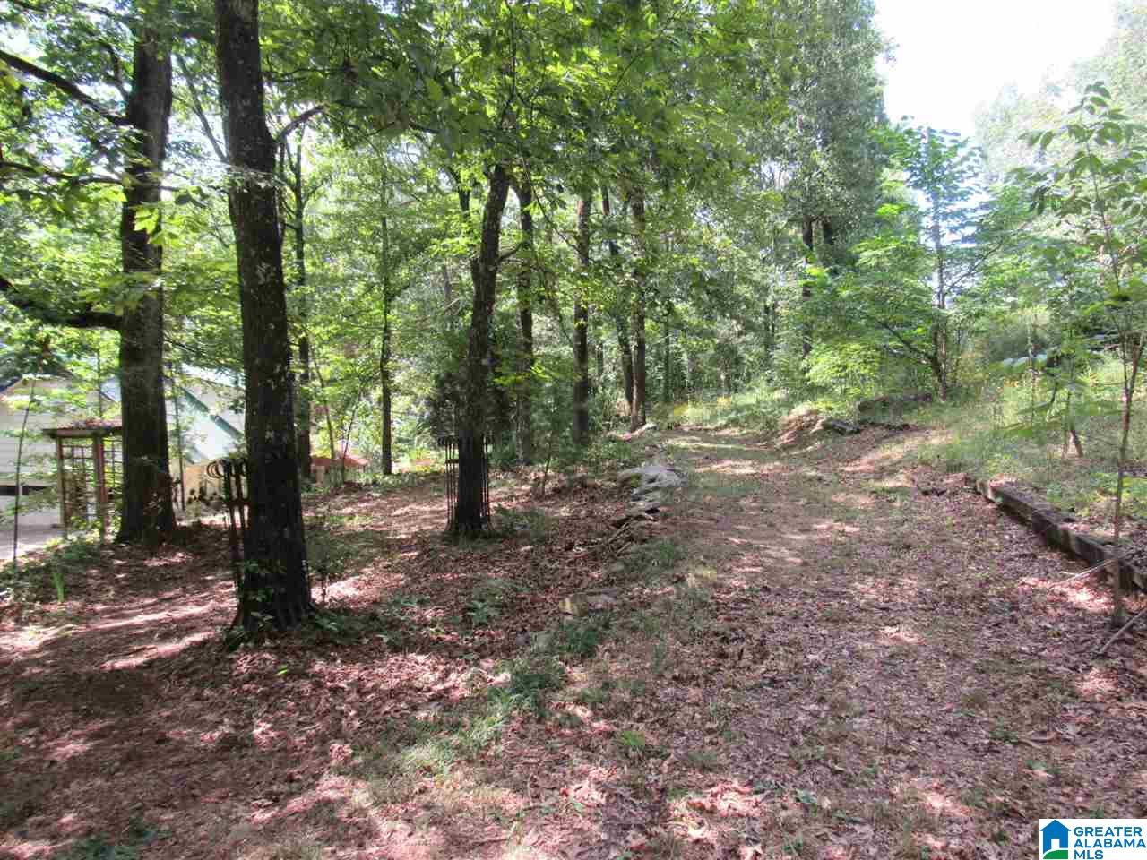 183 Green Acres Road Springville, AL 35146 - Photo 11 of 50