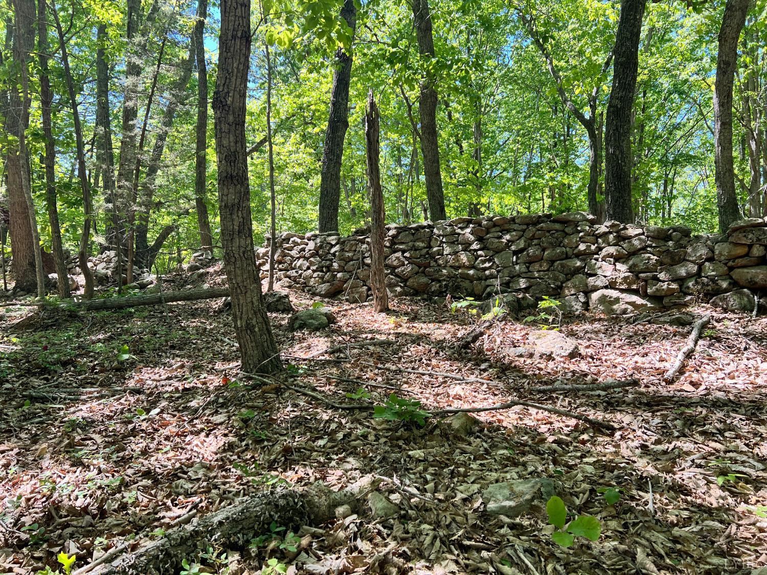 298 Braxton Ridge Road Amherst, VA 24521 - Photo 65 of 65 a view of a forest with trees