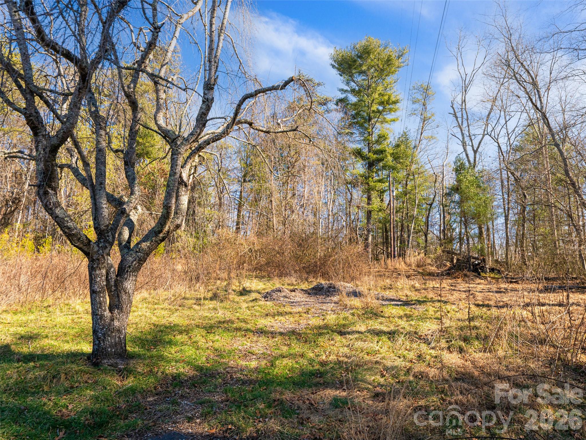 44 Presbyterian Church Road Mills River, NC 28759 - Photo 33 of 43