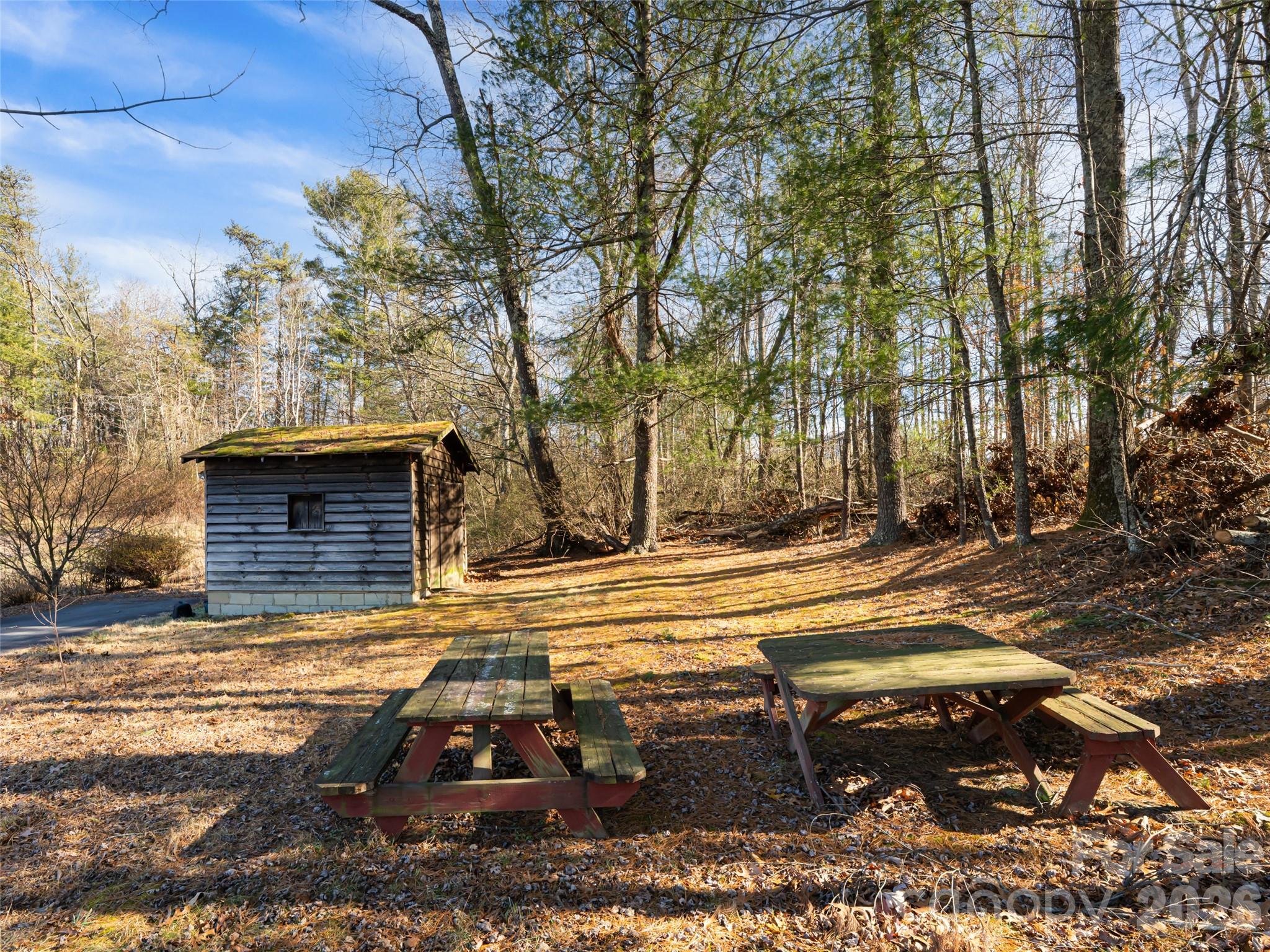 44 Presbyterian Church Road Mills River, NC 28759 - Photo 36 of 43