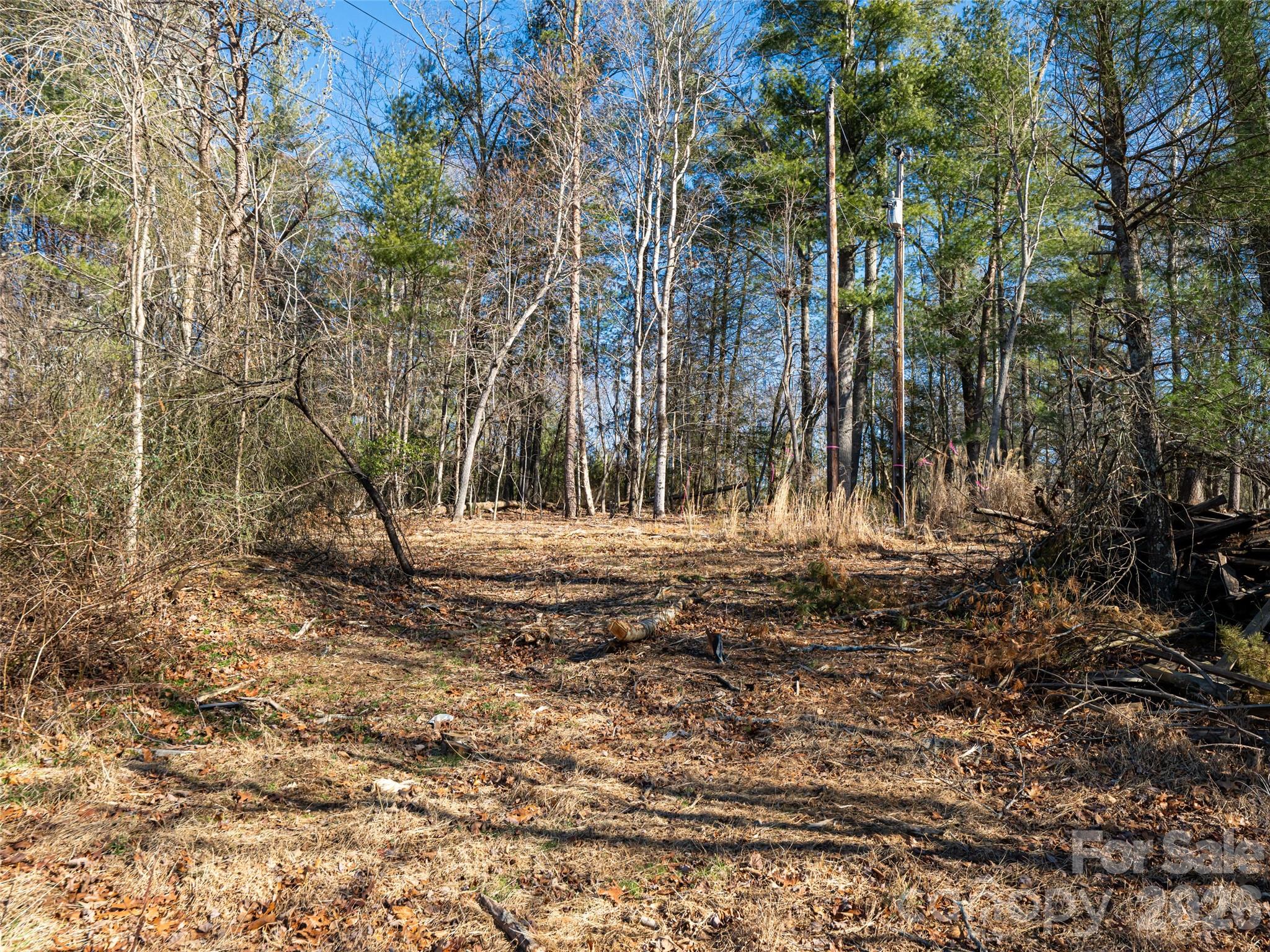 44 Presbyterian Church Road Mills River, NC 28759 - Photo 38 of 43