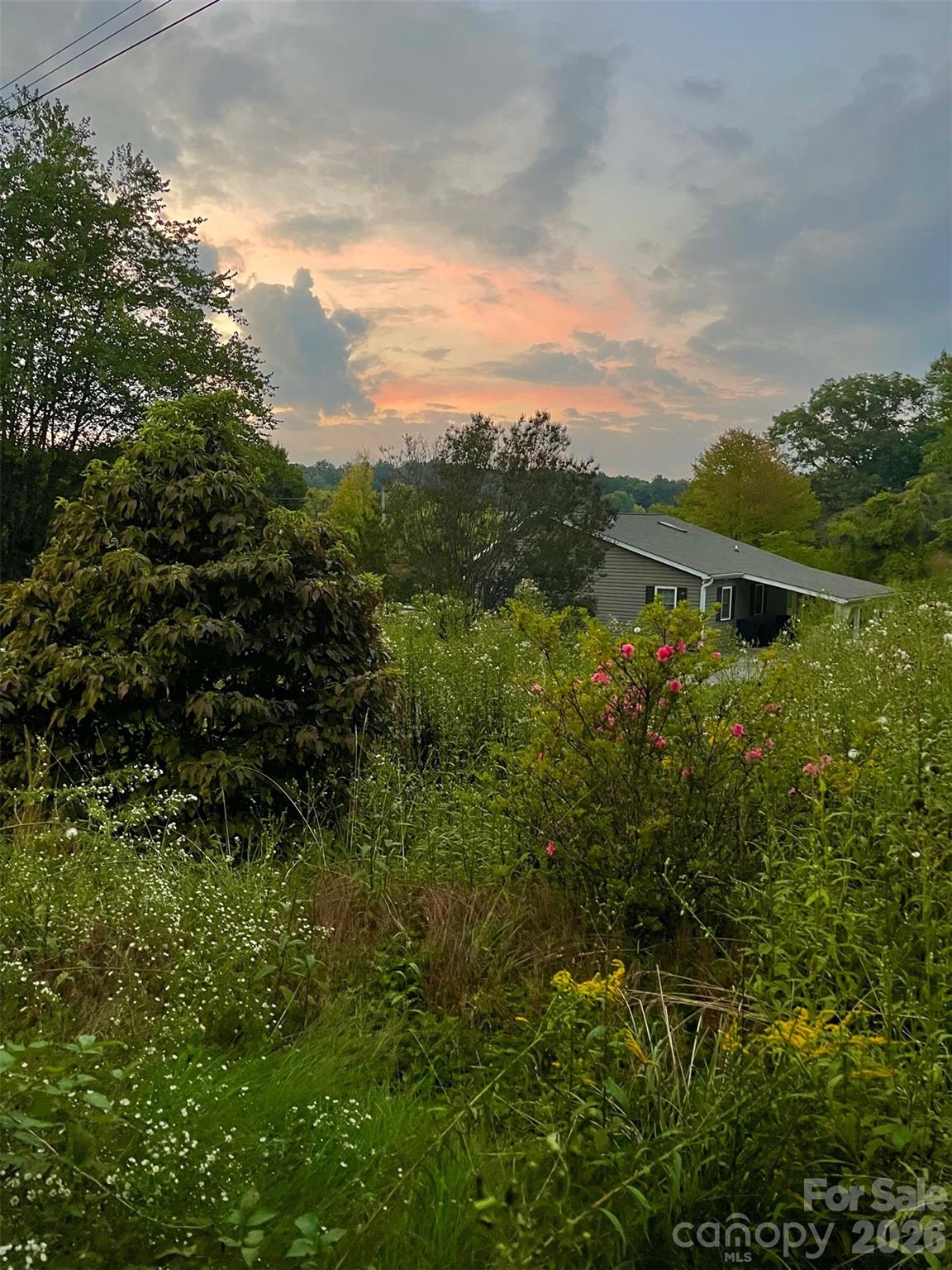 44 Presbyterian Church Road Mills River, NC 28759 - Photo 40 of 43