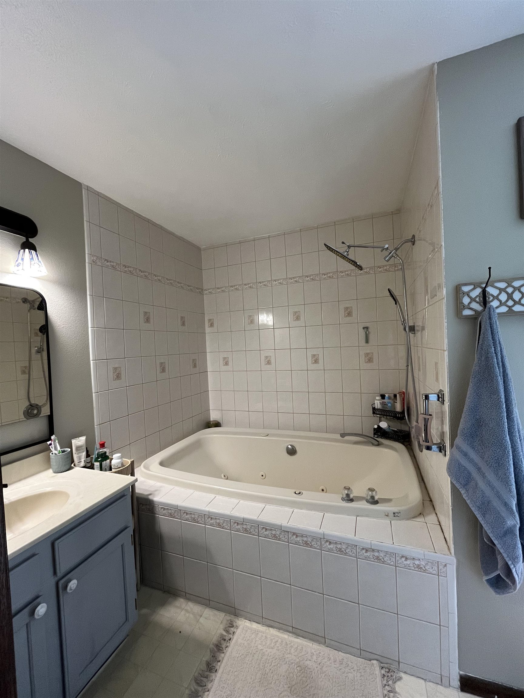 300 Lamplighter Loop Southeast Poplar Grove, IL 61065 - Photo 17 of 29 a bathroom with a tub sink and mirror